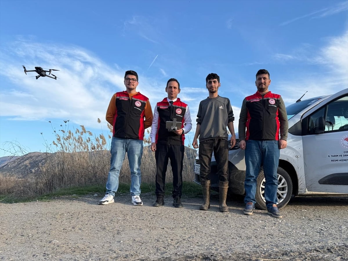 Çorum’un Kargı ilçesinde kaybolan buzağı, dron destekli arama çalışması sonucu 72 saat sonra...