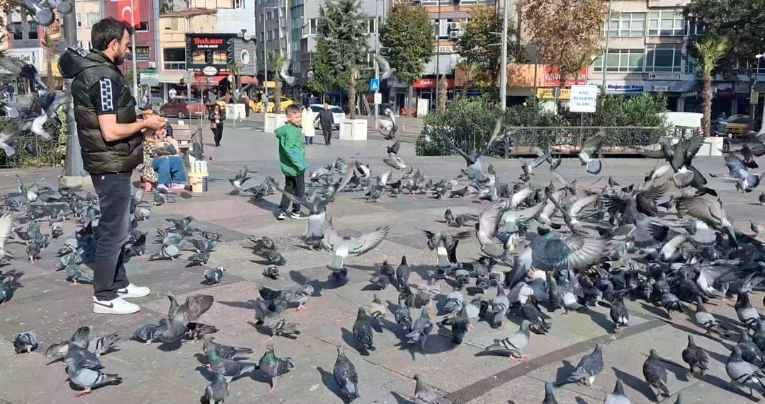 TEKİRDAĞ’IN ÇORLU İLÇESİNDE SONBAHARIN SON GÜNLERİNDE TERMOMETRELER 16 DERECEYİ GÖSTERİRKEN...